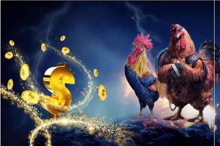 Đá Gà GO88: Bí Quyết Thắng Lớn Cho Người Chơi Cá Cược