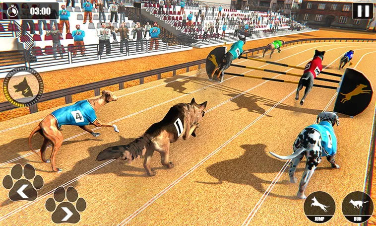 Bí Kíp Chơi Game Nhanh Đua Chó Tại GO88 Để Thắng Lớn